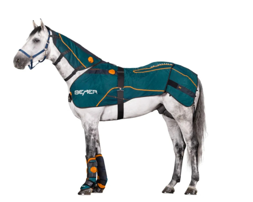 Bremer Horse Set